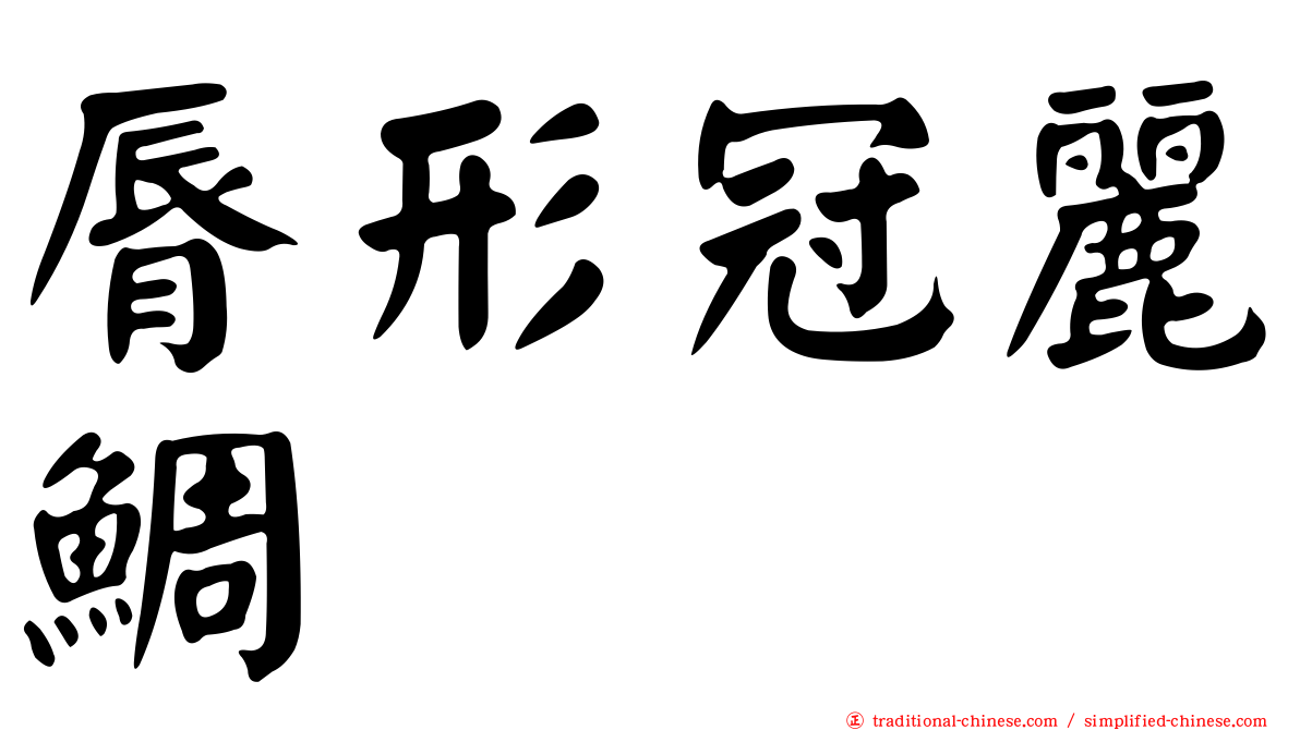 脣形冠麗鯛