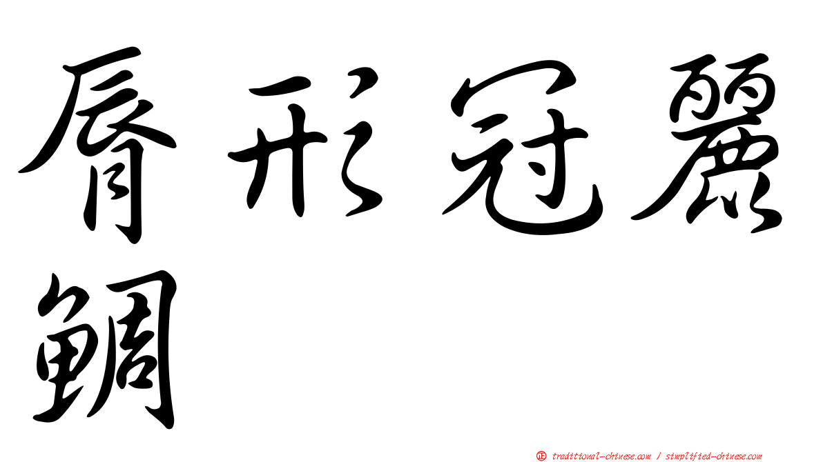 脣形冠麗鯛