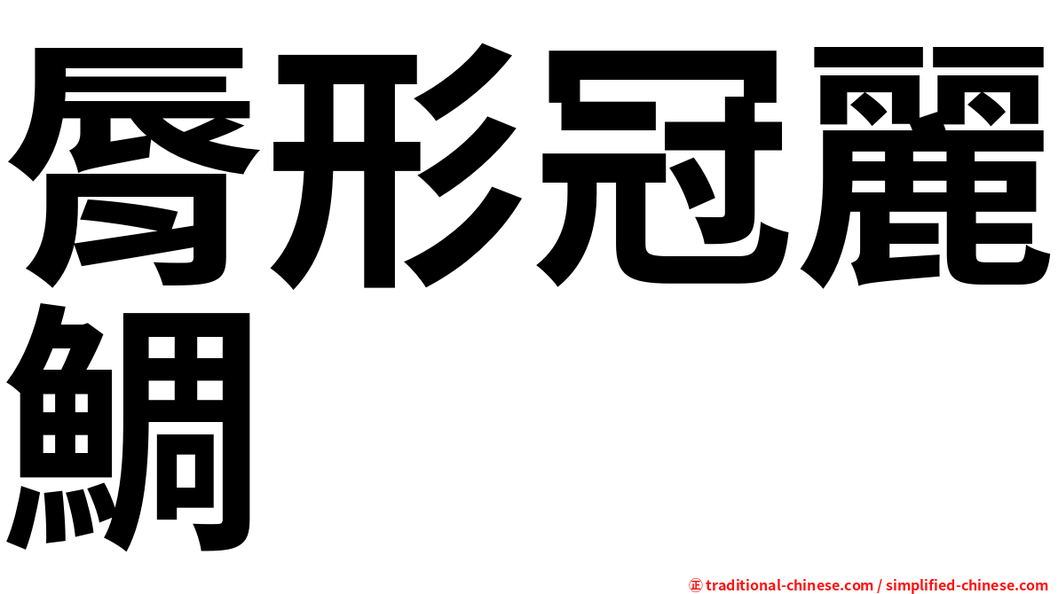 脣形冠麗鯛