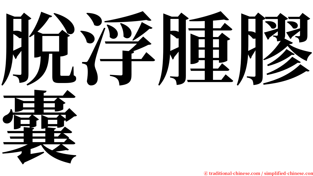 脫浮腫膠囊 serif font