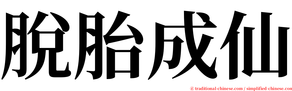 脫胎成仙 serif font