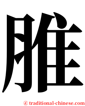 脽 serif font
