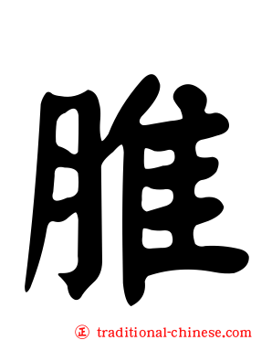 脽