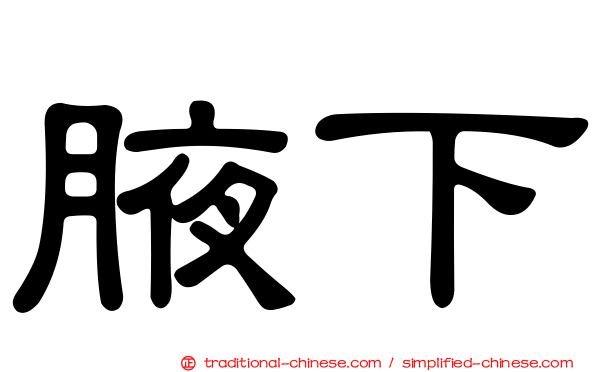 腋下