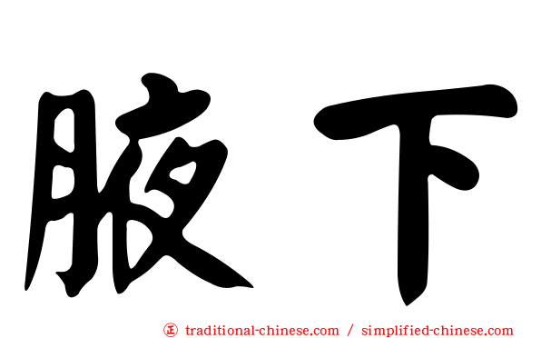 腋下