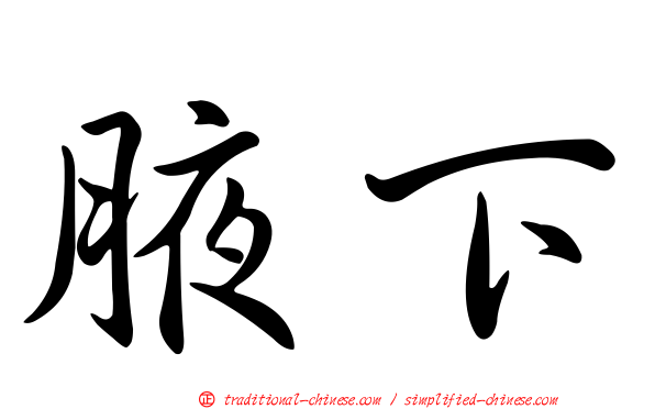 腋下