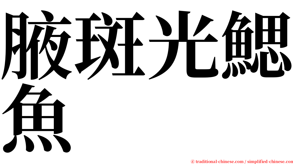 腋斑光鰓魚 serif font