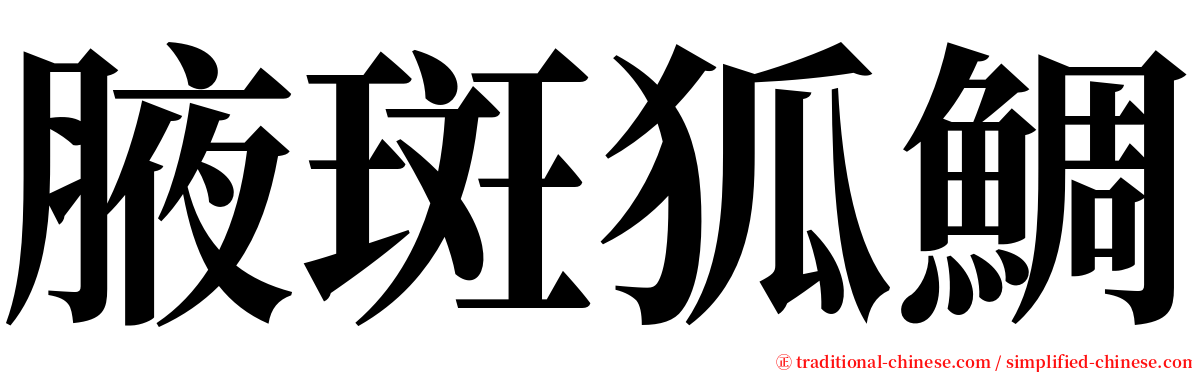 腋斑狐鯛 serif font