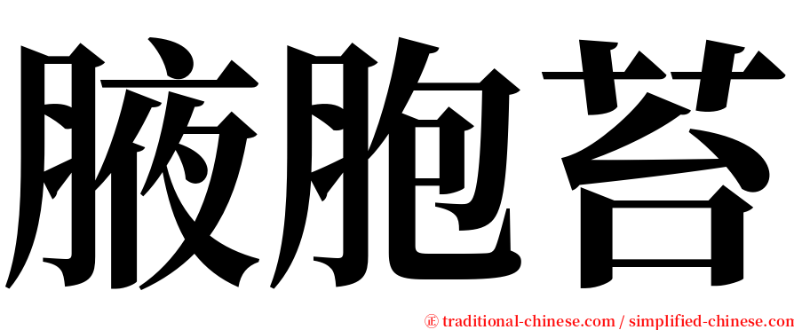 腋胞苔 serif font