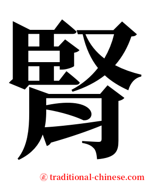 腎 serif font