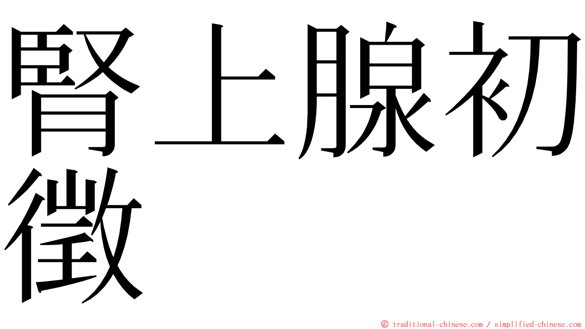 腎上腺初徵 ming font