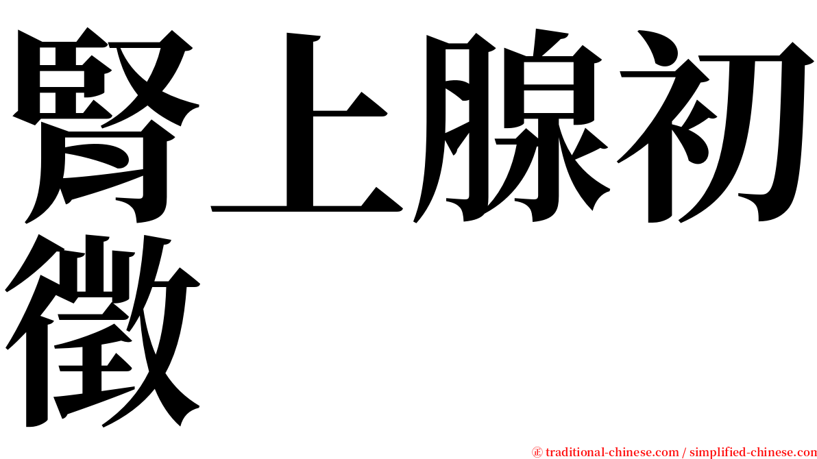 腎上腺初徵 serif font