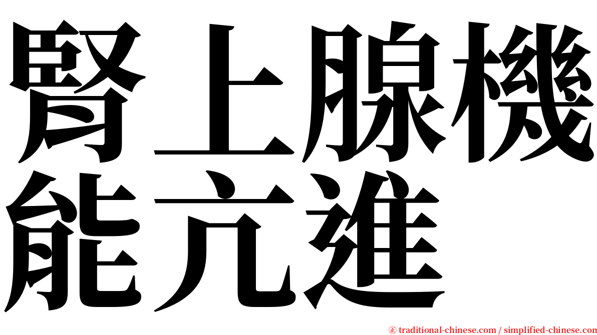 腎上腺機能亢進 serif font