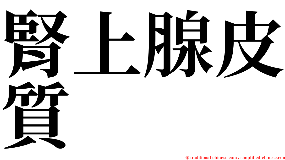 腎上腺皮質 serif font