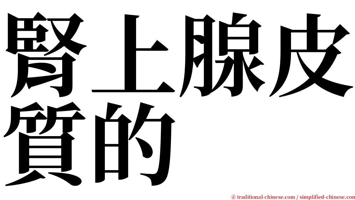 腎上腺皮質的 serif font