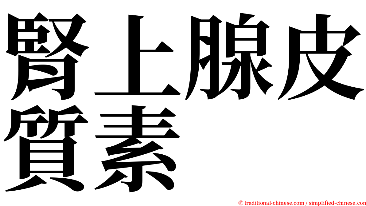 腎上腺皮質素 serif font