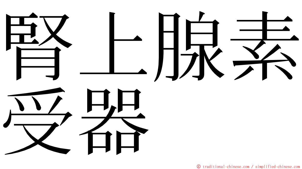 腎上腺素受器 ming font