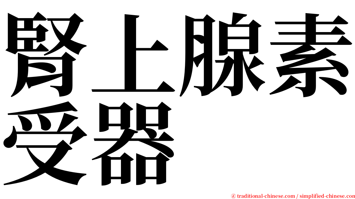 腎上腺素受器 serif font