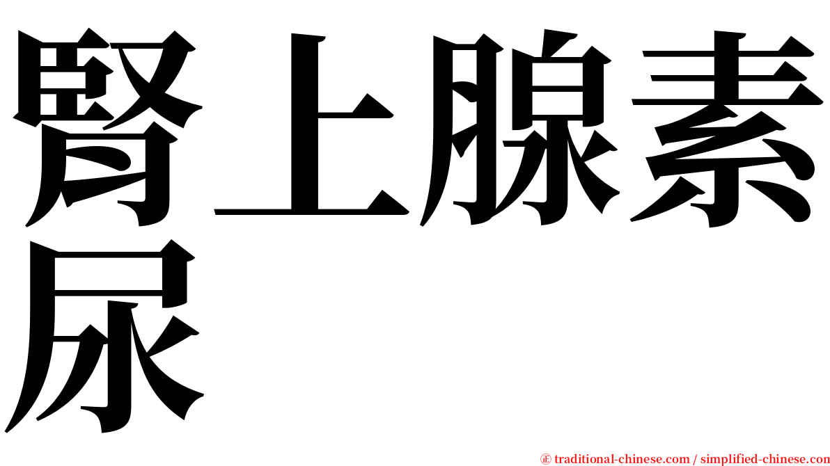 腎上腺素尿 serif font