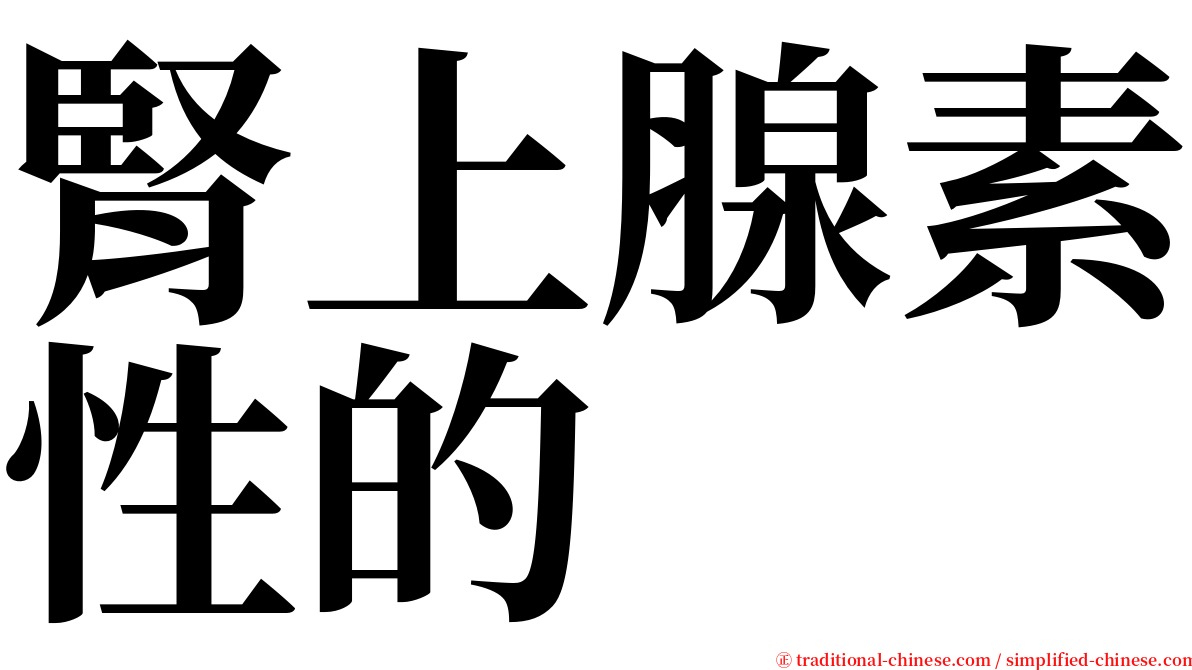 腎上腺素性的 serif font