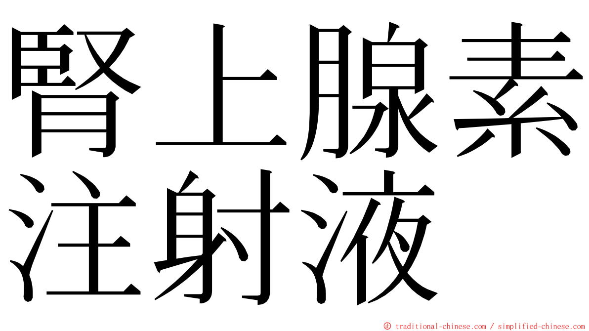 腎上腺素注射液 ming font