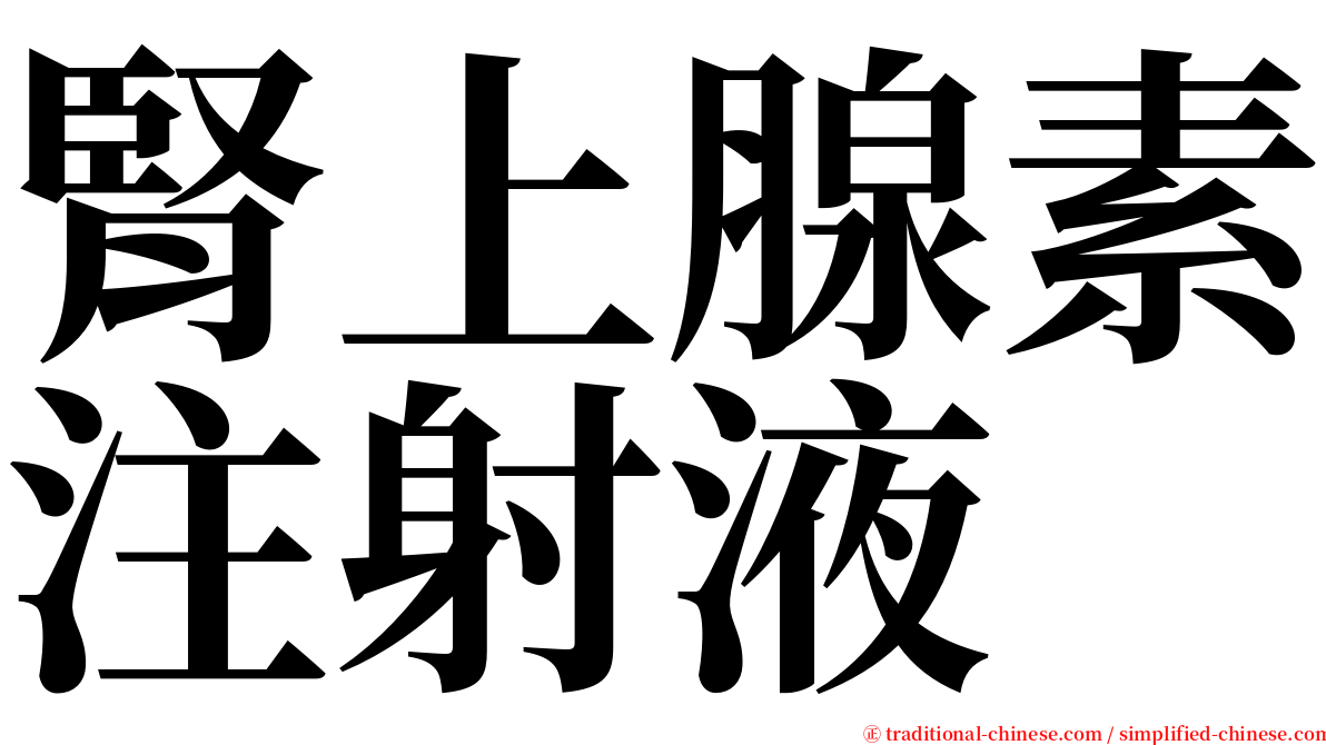 腎上腺素注射液 serif font