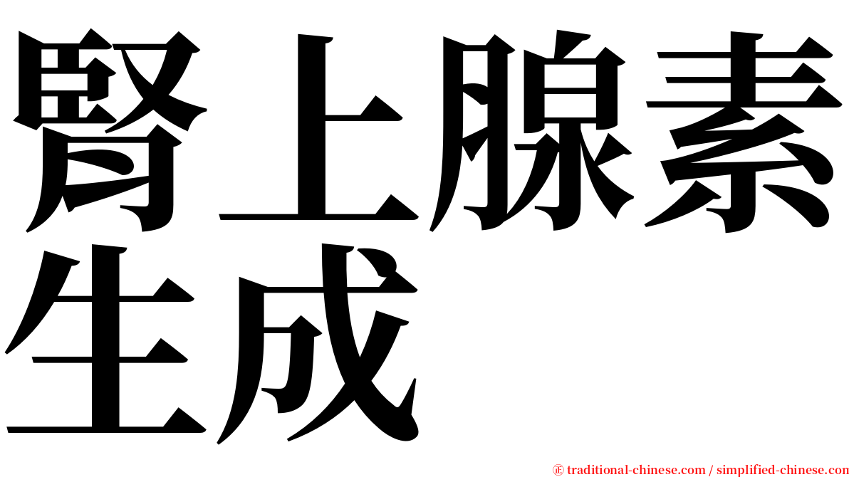 腎上腺素生成 serif font