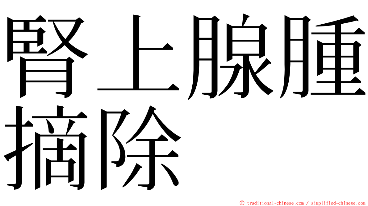 腎上腺腫摘除 ming font