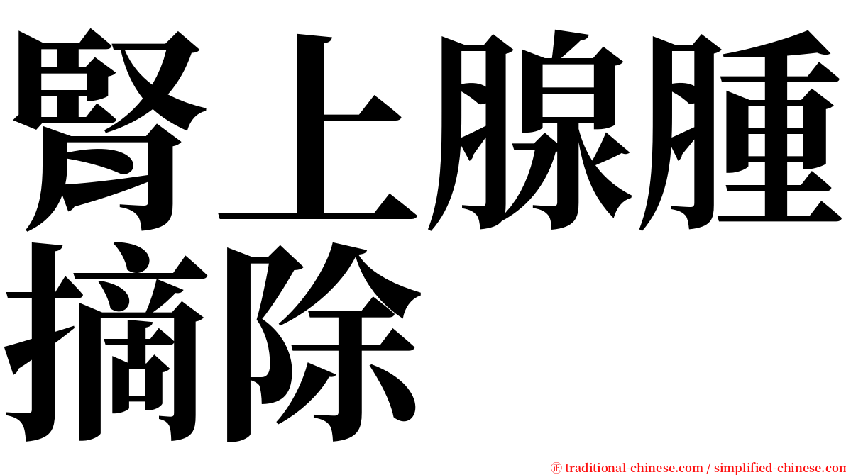 腎上腺腫摘除 serif font