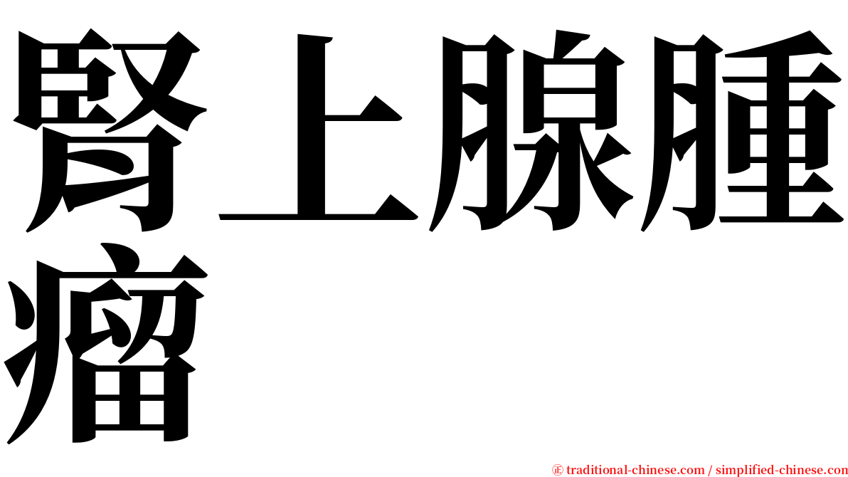 腎上腺腫瘤 serif font