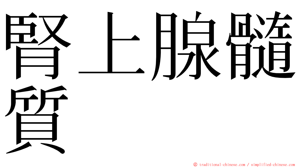 腎上腺髓質 ming font