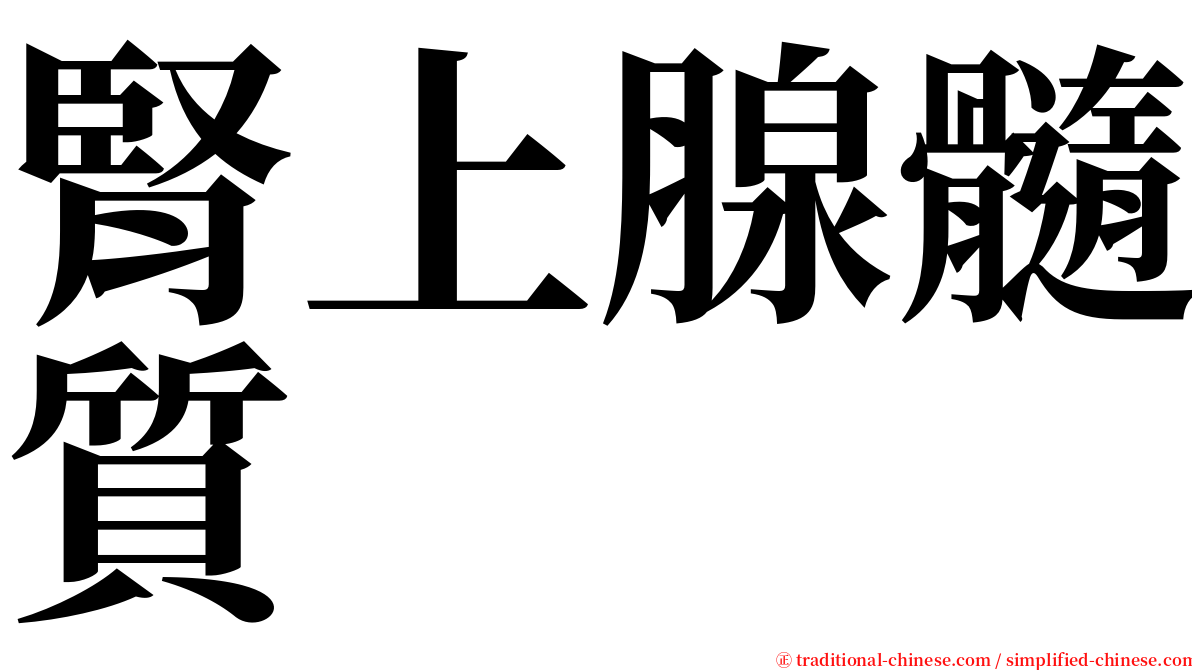 腎上腺髓質 serif font