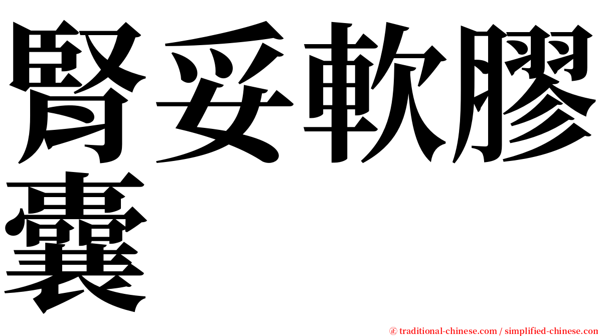 腎妥軟膠囊 serif font