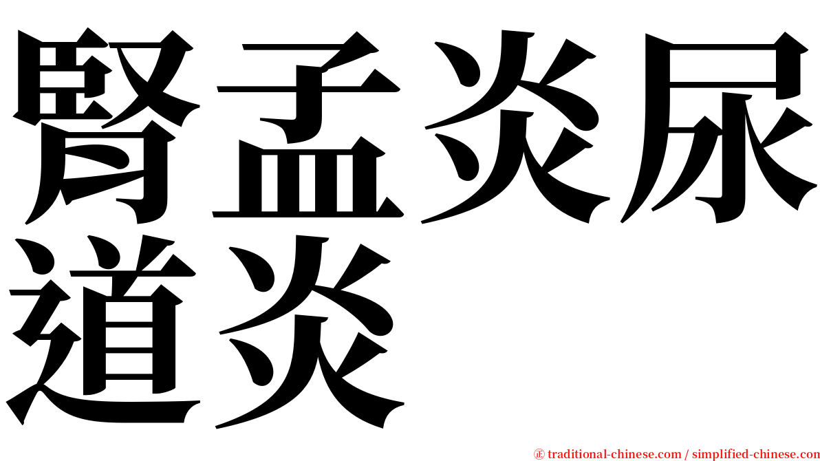 腎孟炎尿道炎 serif font