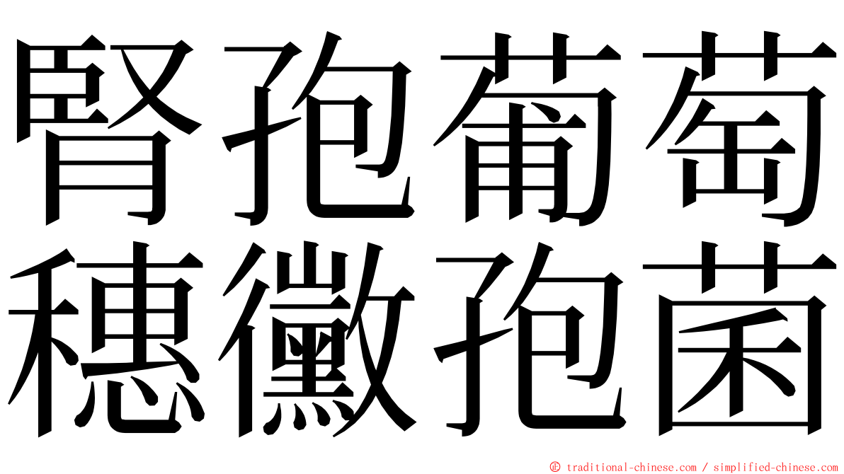 腎孢葡萄穗黴孢菌 ming font