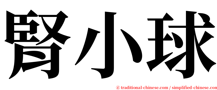 腎小球 serif font