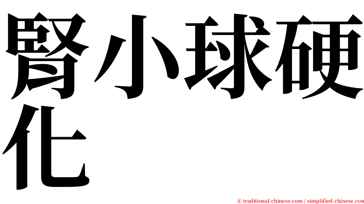 腎小球硬化 serif font