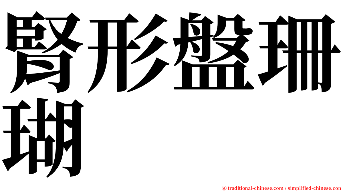 腎形盤珊瑚 serif font