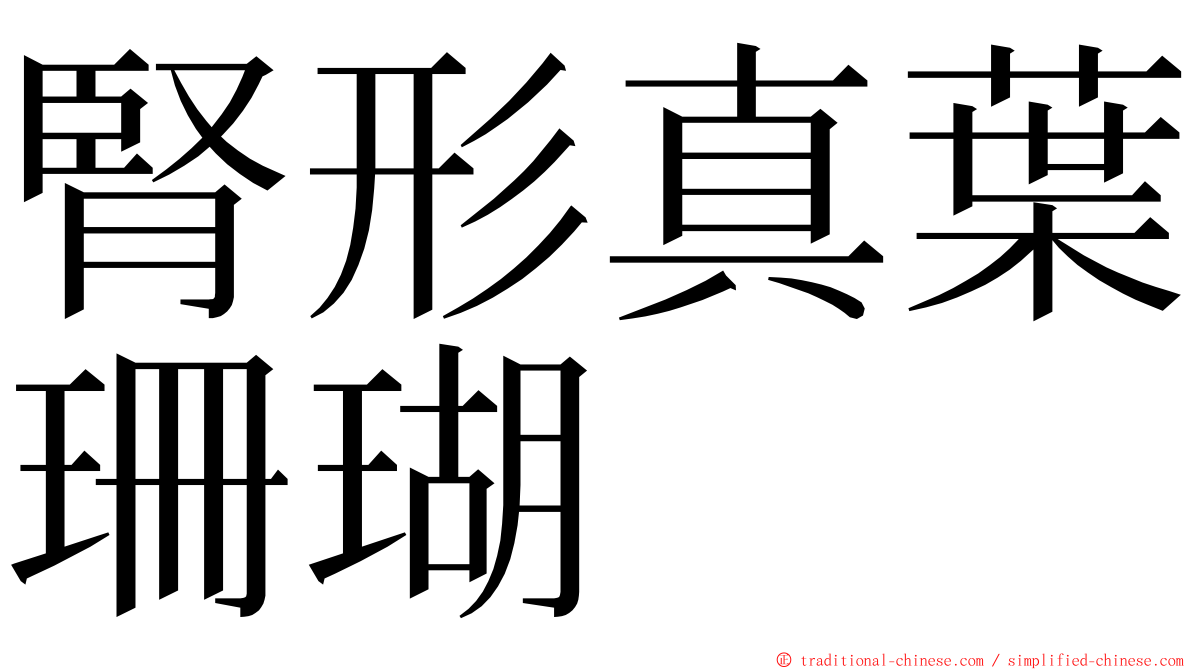 腎形真葉珊瑚 ming font