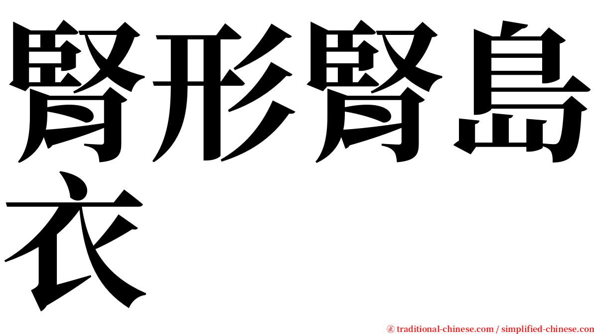 腎形腎島衣 serif font