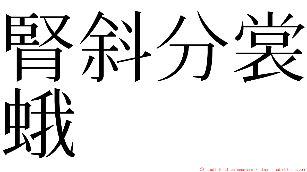 腎斜分裳蛾 ming font