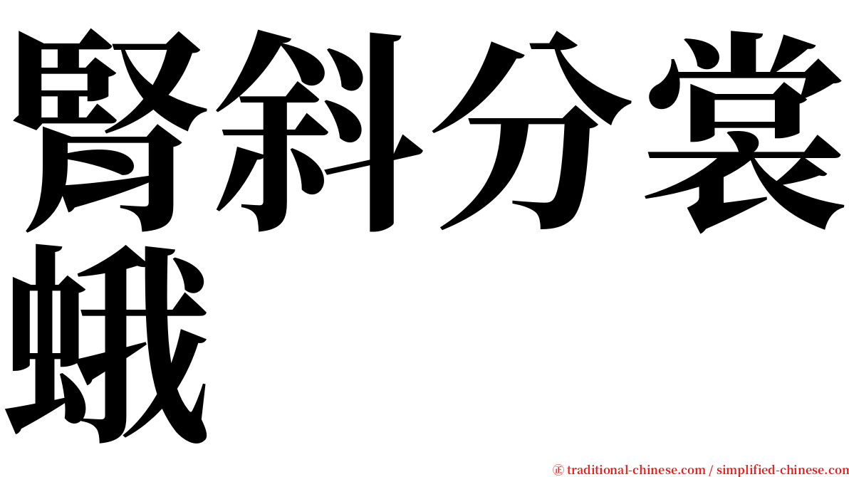 腎斜分裳蛾 serif font