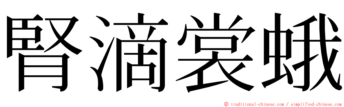 腎滴裳蛾 ming font