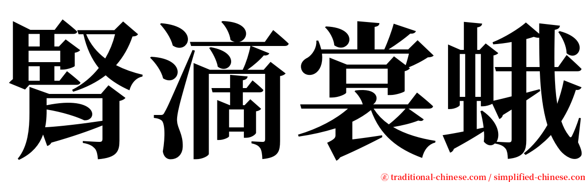 腎滴裳蛾 serif font