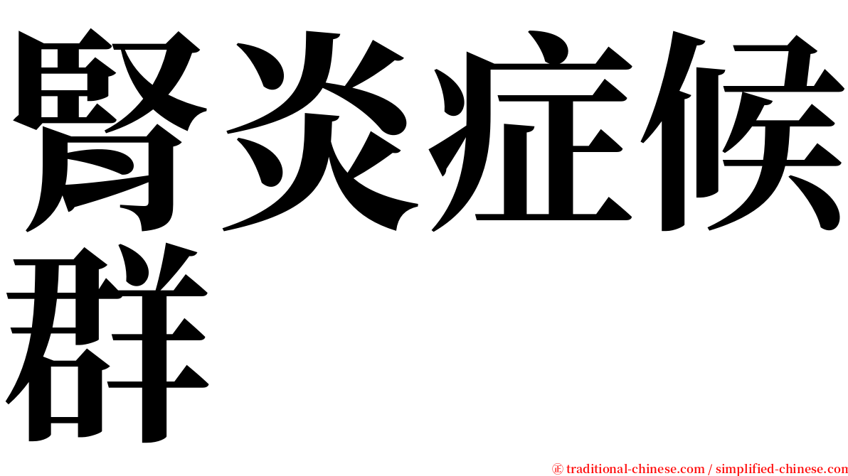 腎炎症候群 serif font