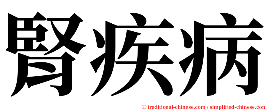 腎疾病 serif font