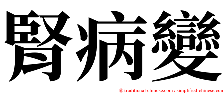 腎病變 serif font