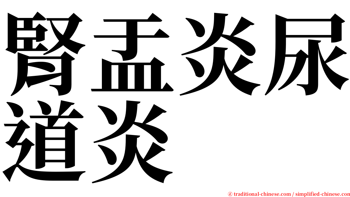 腎盂炎尿道炎 serif font