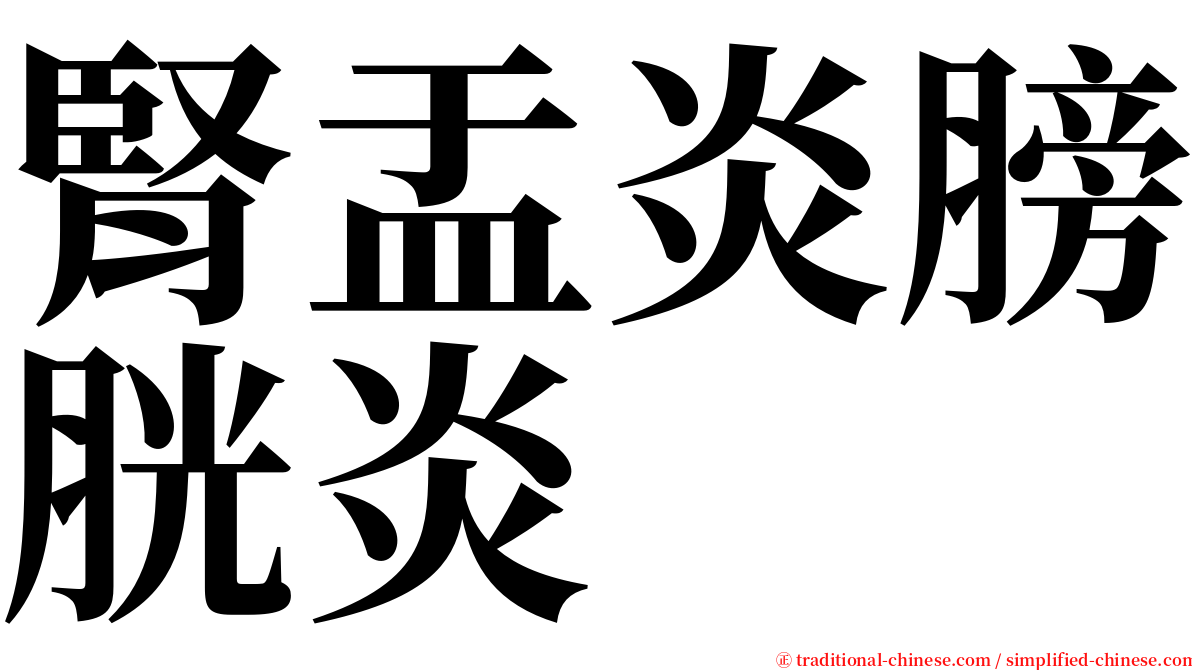 腎盂炎膀胱炎 serif font