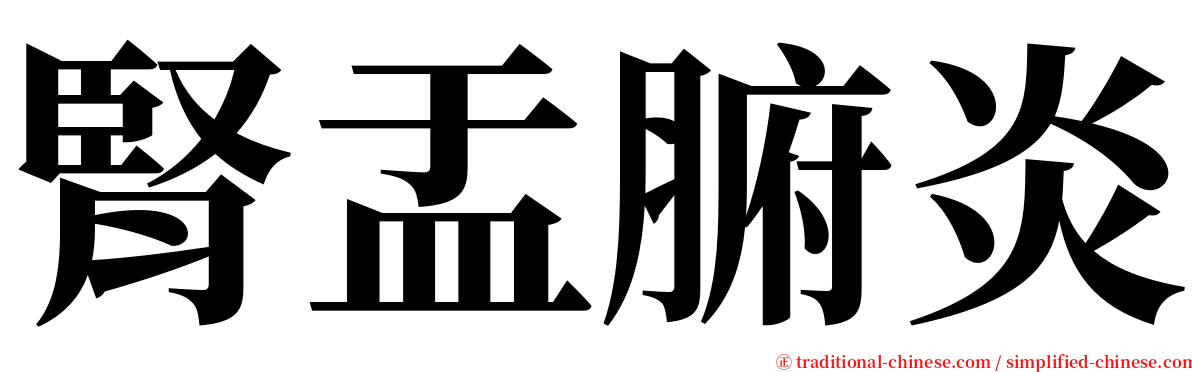 腎盂腑炎 serif font